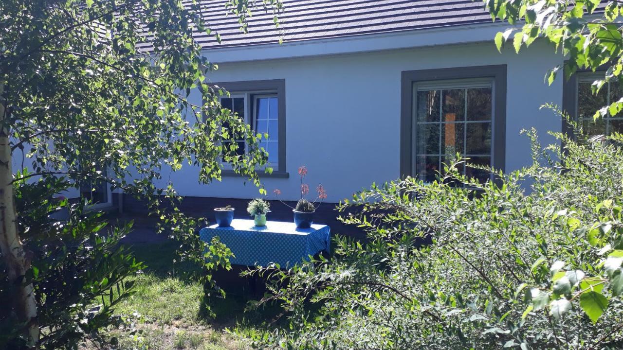 B&B De Tulp Retie Eksteriør billede